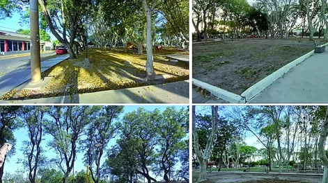 El melón sigue a pesar del sismo