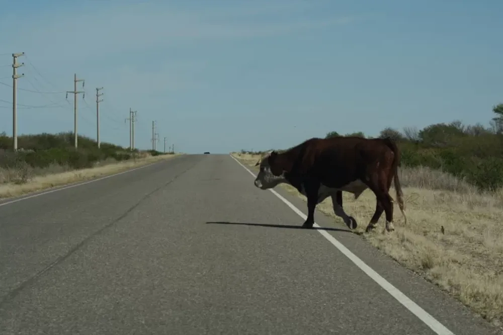 Esquivó un animal en la ruta, reventó un neumático y terminó volcando