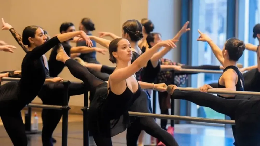 Mecenazgo 2025: con mayor participación que el año pasado, se seleccionaron 56 proyectos culturales