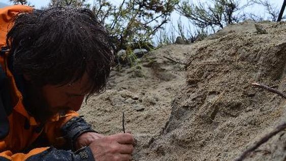 Hallaron restos fósiles de un dinosaurio carnívoro de unos 70 millones de años de antigüedad