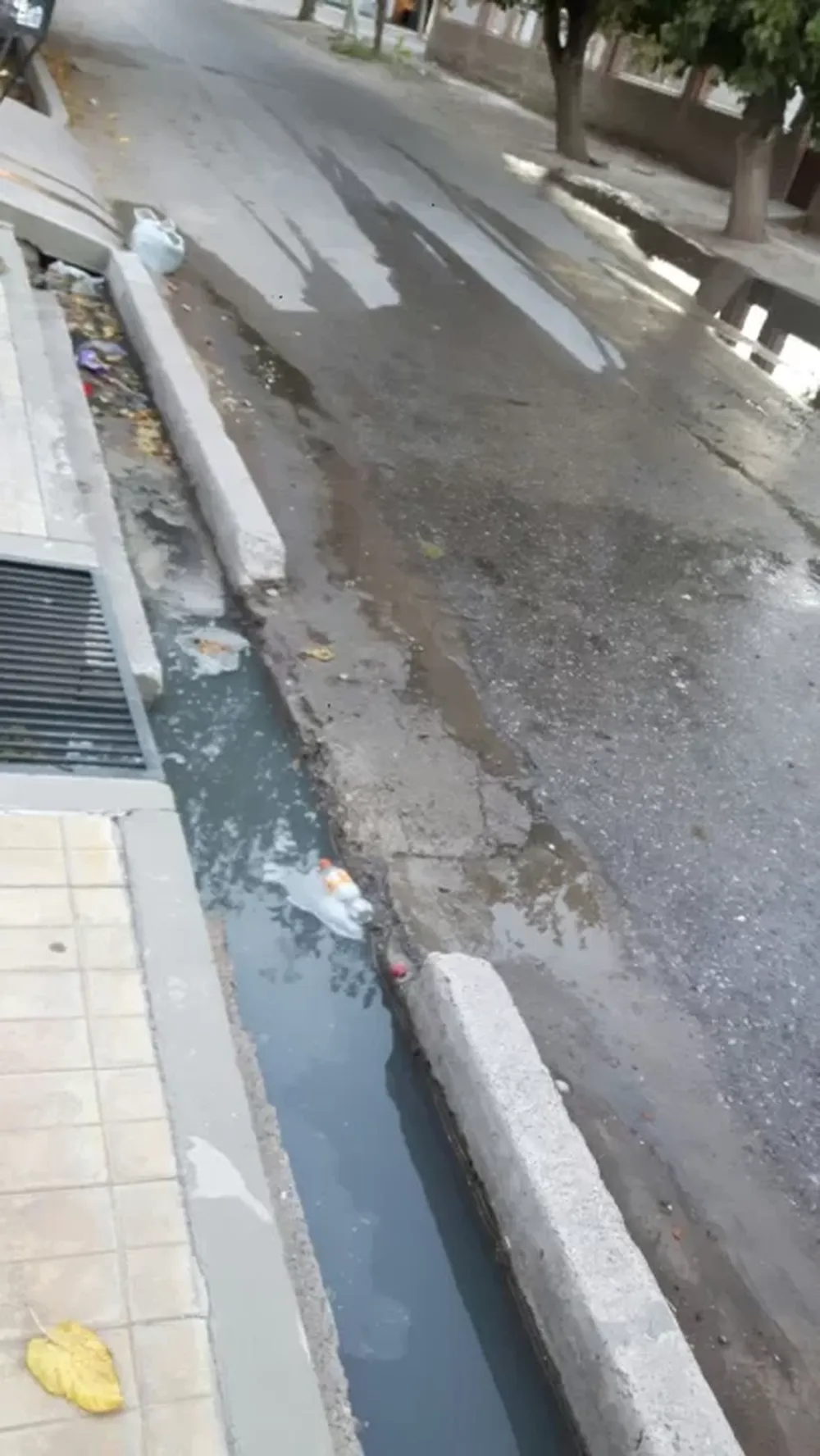 Derrame de líquidos cloacales en pleno centro caucetero