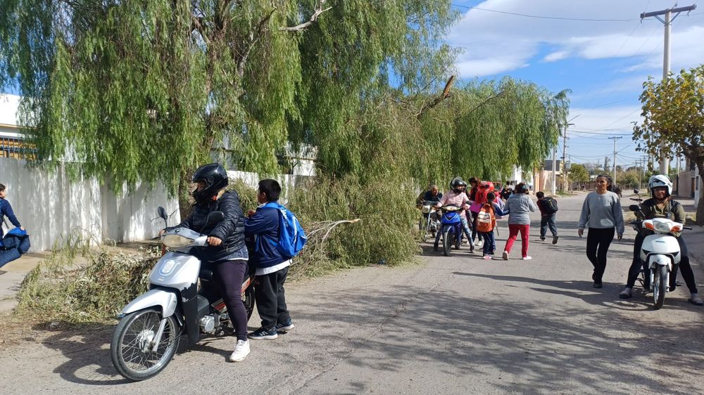 Alumnos de la Escuela Rabindranath Tagore, en Pocito, en peligro por las ramas que tiró el viento Zonda.