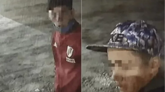 Entraron sigilosamente al frente de una casa, robaron una bici y huyeron: quedaron filmados