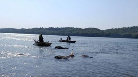 Desesperada búsqueda de Thiago Friederich que cayó al río