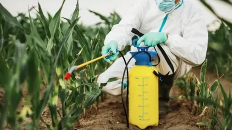 Habilitan en San Juan financiamiento de hasta $20 millones para el cuidado sanitario de los cultivos