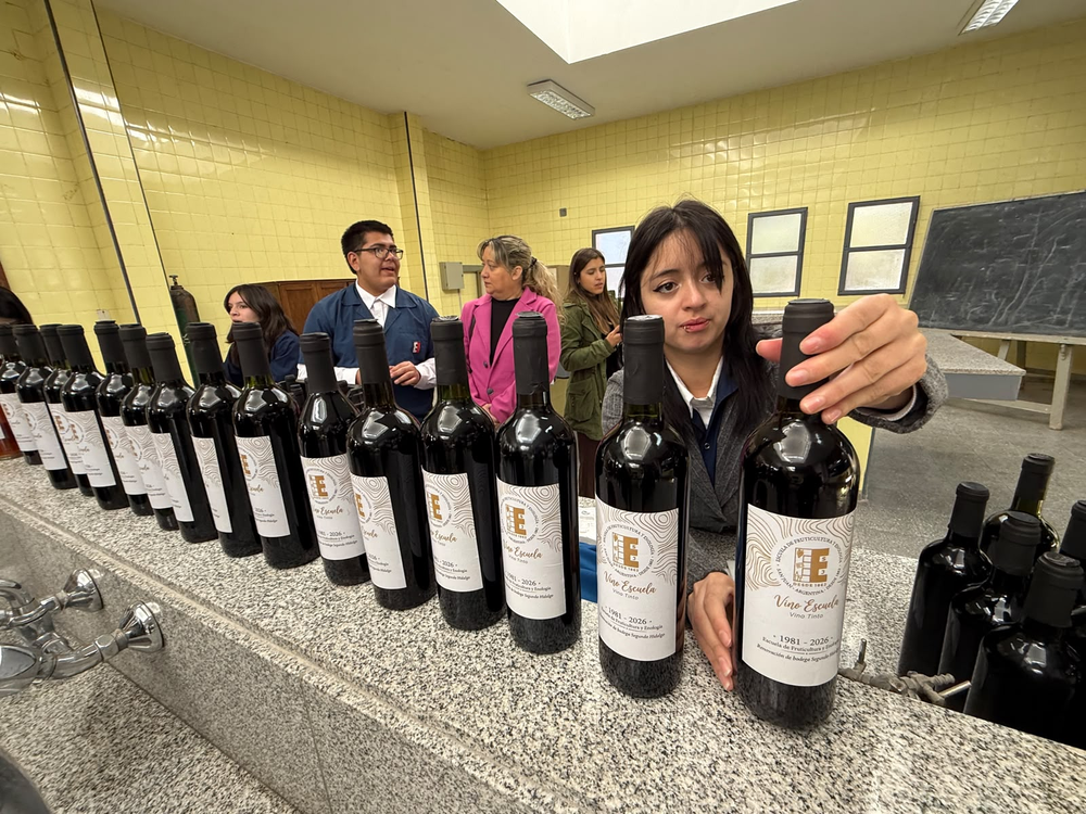 Botellas de 