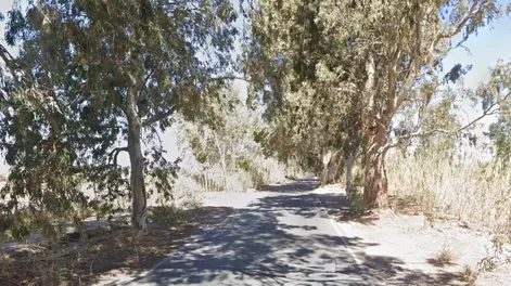 Dos hombres y una mujer sufrieron serias heridas tras chocar en auto contra un árbol