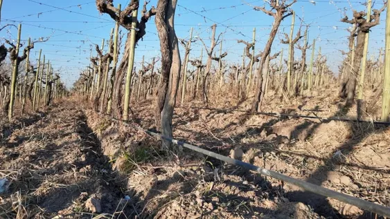 Riego: por la gran demanda pedirán plata a Nación para dar más créditos