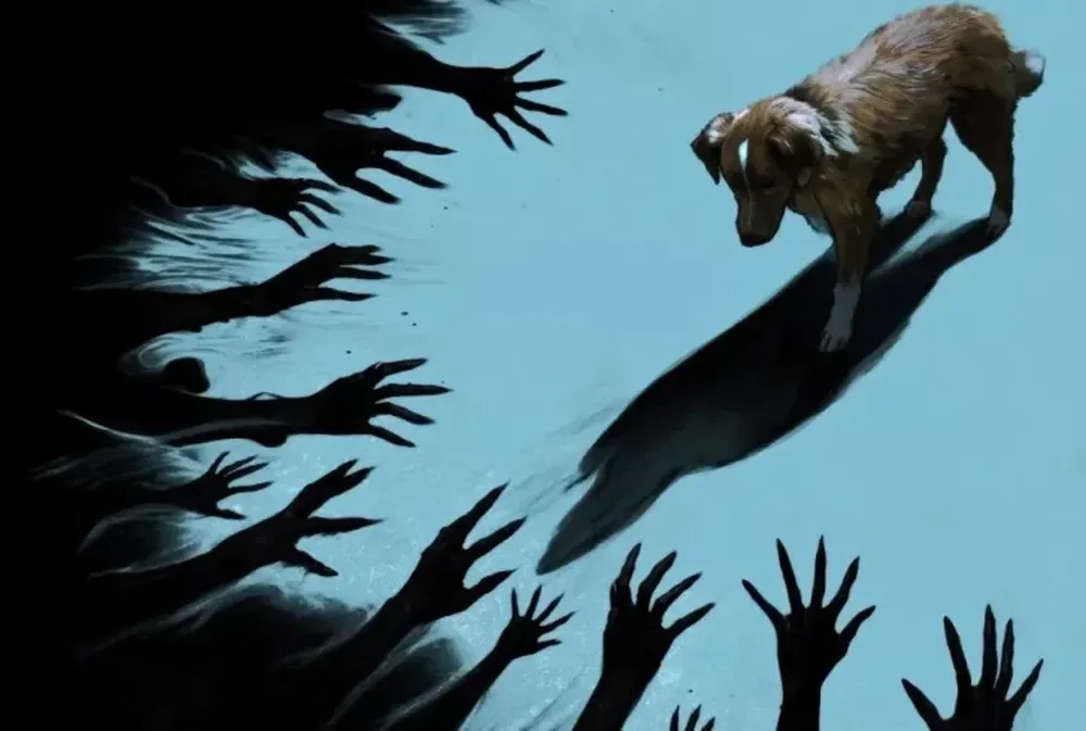 Vuelta de tuerca al terror: ¿qué percibe tu mascota que vos no?