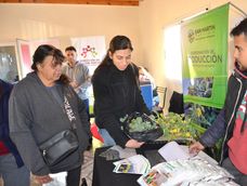 El municipio de San Martín sale a recorrer el departamento para entregar gratis semillas de temporada a los vecinos. El municipio de San Martín sale a recorrer el departamento para entregar gratis semillas de temporada a los vecinos.