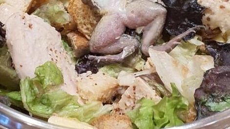 Fueron a comer a un shopping y encontraron algo desagradable en la ensalada