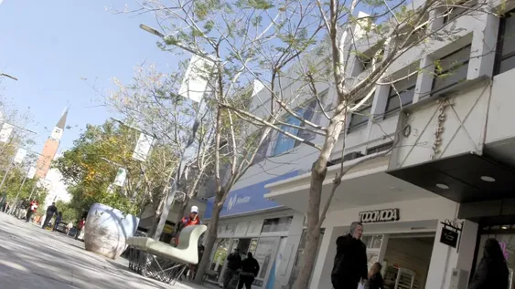 Peatonal: denuncian que se seca el arbolado y el municipio lo desmiente