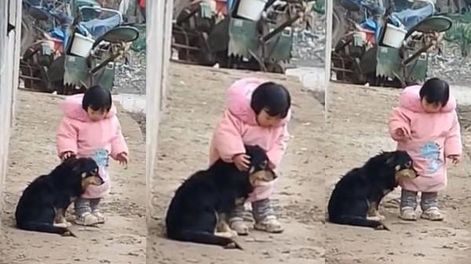 El tierno gesto de una nena para proteger a su perro de los fuegos artificiales