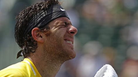 Del Potro no tuvo un buen día y perdió en Miami