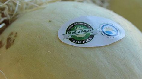 El melón de Media Agua-San Juan prepara la campaña 2020-2021