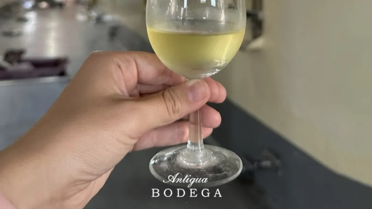 Hito comercial: una bodega de San Juan llegará con más de 70.000 litros de vino blanco a las góndolas de Estados Unidos