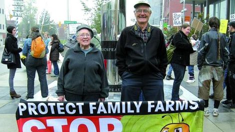 Argentina prohíbe la plantación de alfalfa resistente al glifosato