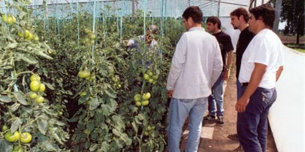 El INTA cumplió 53 años de investigación en Argentina