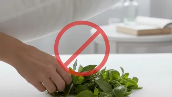 Hay una alternativa entre las plantas que empezó a ganar terreno entre quienes buscan atraer la abundancia a su hogar.