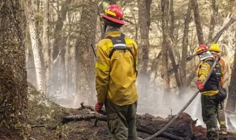Alerta en Chubut: se reactivaron los incendios forestales por los vientos y las altas temperaturas