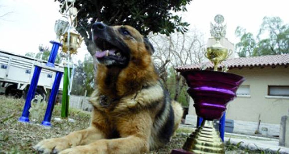 Gerik, aún retirado, es el rey de Canes