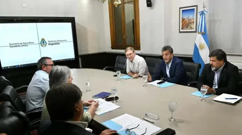 Plan de casi 1.000 millones de pesos por la gripe aviar