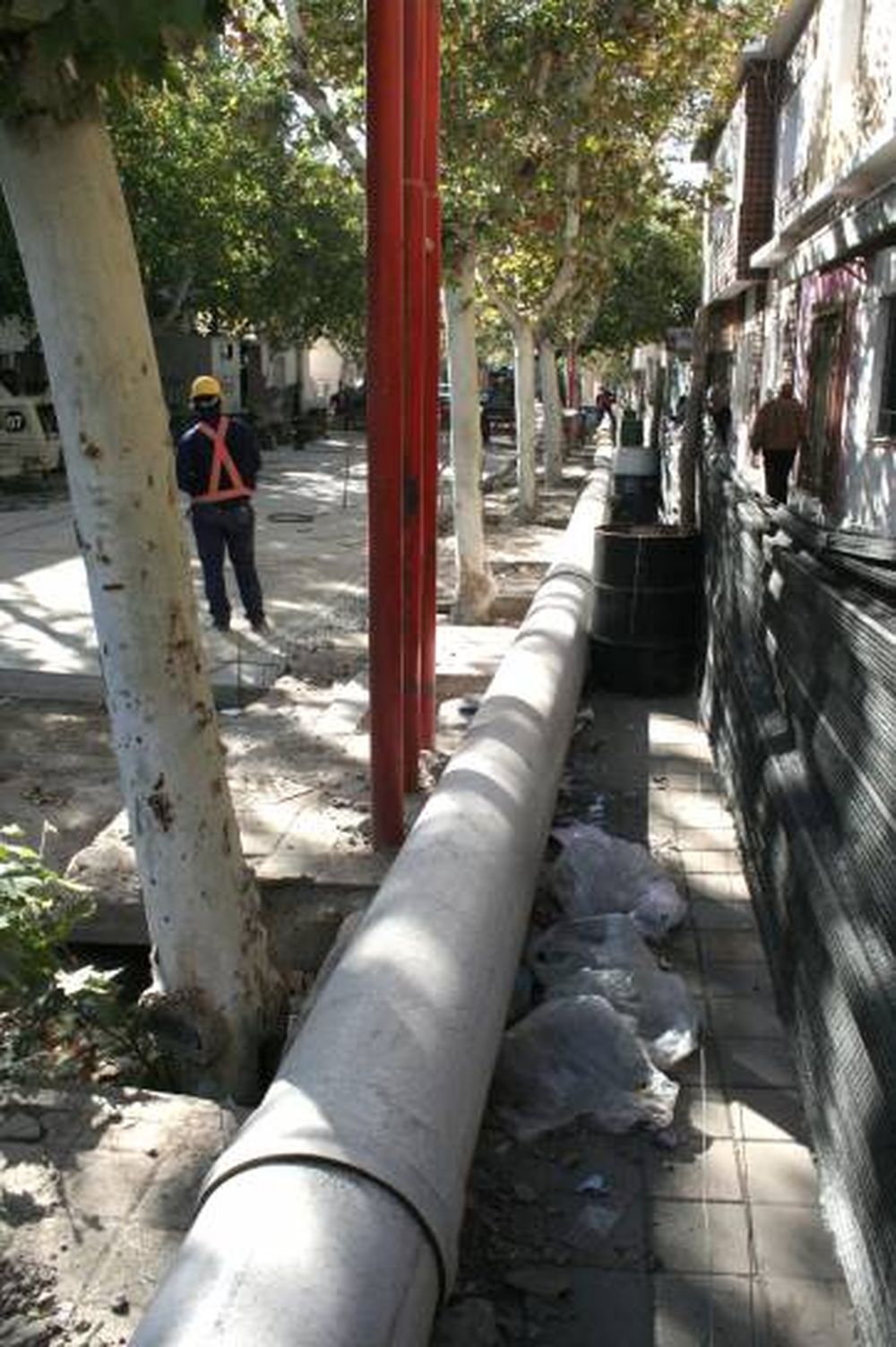 Olor, ruidos y arrebatos
