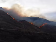 En el terreno trabajan más de 60 personas de manera coordinada para lograr combatir el fuego.
