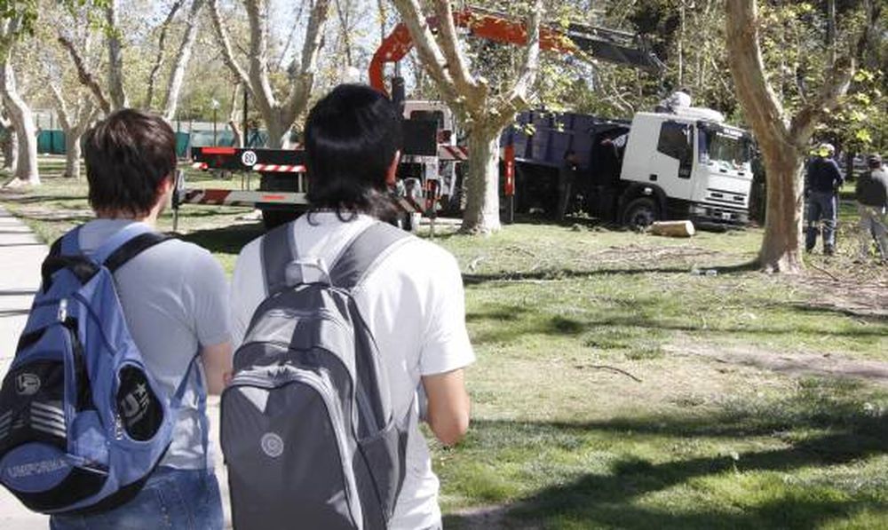 Más de 20 horas para sacar el camión que se hundió en el pasto