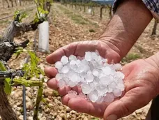 En lo que va del año, 2.770 hectáreas de cultivo fueron dañadas por lluvias y granizo. En lo que va del año, 2.770 hectáreas de cultivo fueron dañadas por lluvias y granizo.