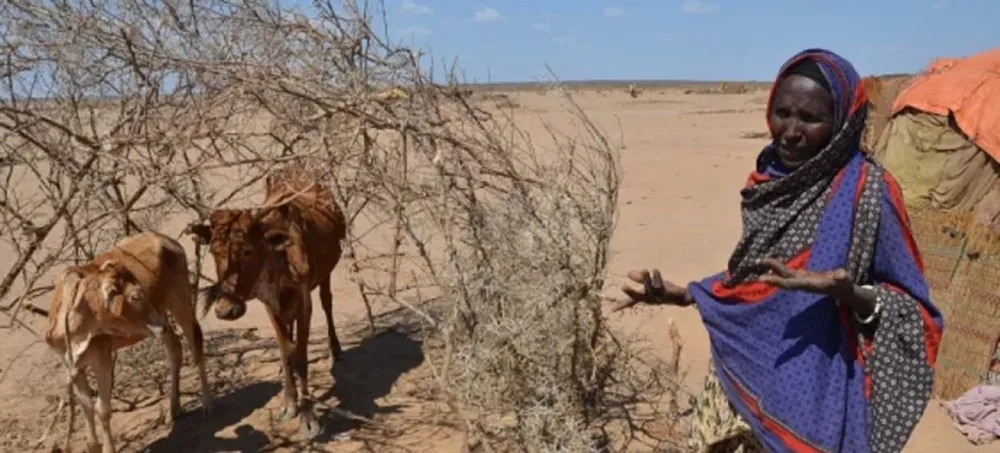 África comienza a desalinizar agua del mar
