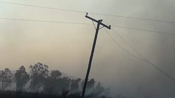 Incendios, árboles caídos y cortes de luz, el desastre del Zonda en Jáchal