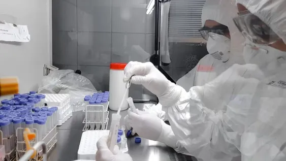 Detectaron el primer caso de la variante Mu de coronavirus en Salta