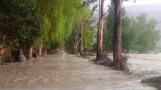 Otra vez calles cortadas en Zonda por la lluvia: Vialidad cerró la RP12 de manera preventiva