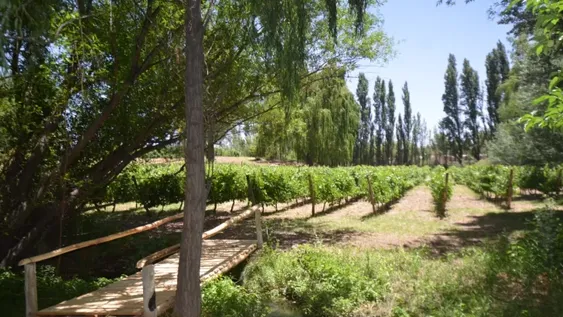 Los 7 puntos que el INV se trazó para fomentar el enoturismo en las provincias