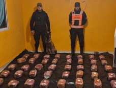dos mujeres se enviaron una encomienda de salta a tucuman con 48 kilos de marihuana y las detuvieron dos mujeres se enviaron una encomienda de salta a tucuman con 48 kilos de marihuana y las detuvieron