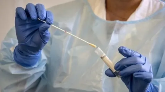 Coronavirus en el país: se sumaron 7 nuevas muertes y el número total asciende a 615