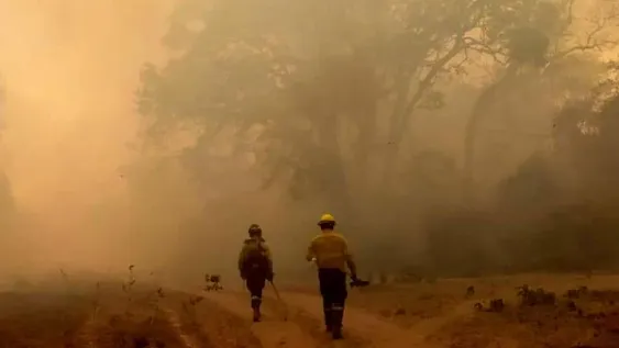 Los incendios forestales afectan cinco provincias hacia las que se desplegaron refuerzos