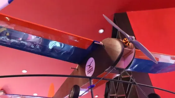 Los sueños van con alas