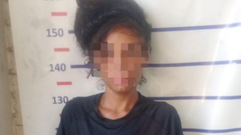 Detuvieron a una mujer por robar un celular del interior de un auto