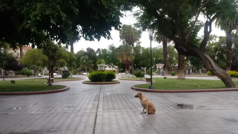 Plaza 25 de Mayo.