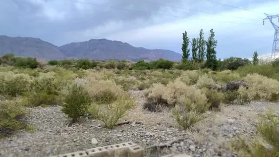 Imagen ilustrativa.-