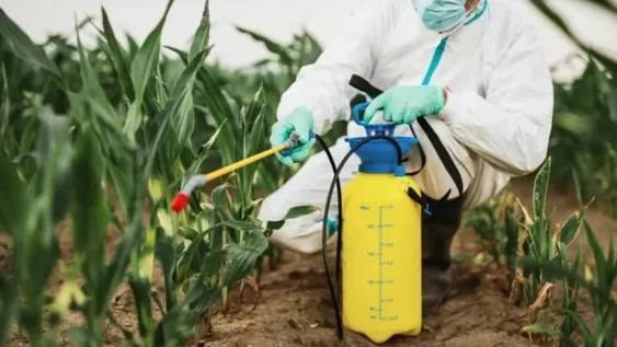 Habilitan en San Juan financiamiento de hasta $20 millones para el cuidado sanitario de los cultivos