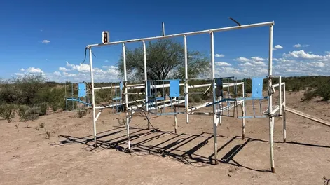 Desarticularon una carrera de caballos clandestina tras una denuncia anónima: había 50 personas y tenías hasta gateras en la pista