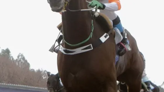 Gran expectativa a tres días de la carrera