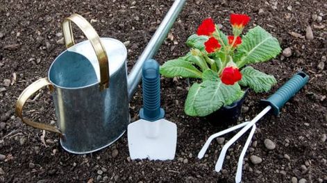 Cómo mejorar el suelo del jardín