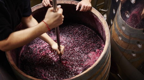 Optimismo y altas expectativas entre los fabricantes de mosto por el proyecto que impulsa el uso de jugos de frutas