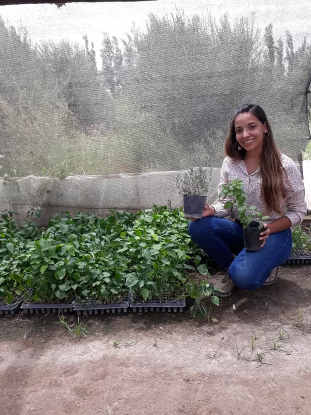 Mantenimiento de la huerta de verano
