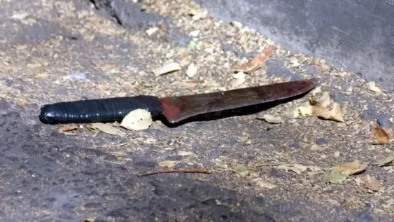 Mató de una cuchillada en el cuello a su novia y lo detuvieron borracho