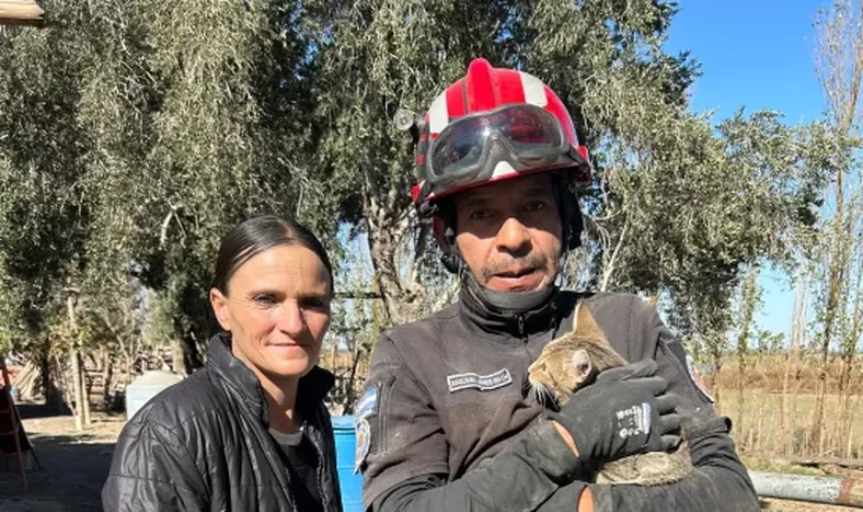 Rescataron a un gatito que cayó en un pozo de 13 metros